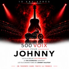 500 Voix pour Johnny - 10 Ans Apr&egrave;s
