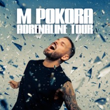 Matt Pokora - Festival Foire en Sc&egrave;ne